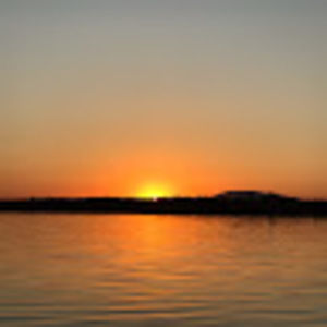 Meet your Posher, Tiegan